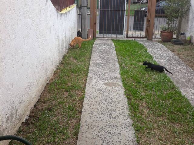 #17 - Casa para Venda em Sapucaia do Sul - RS