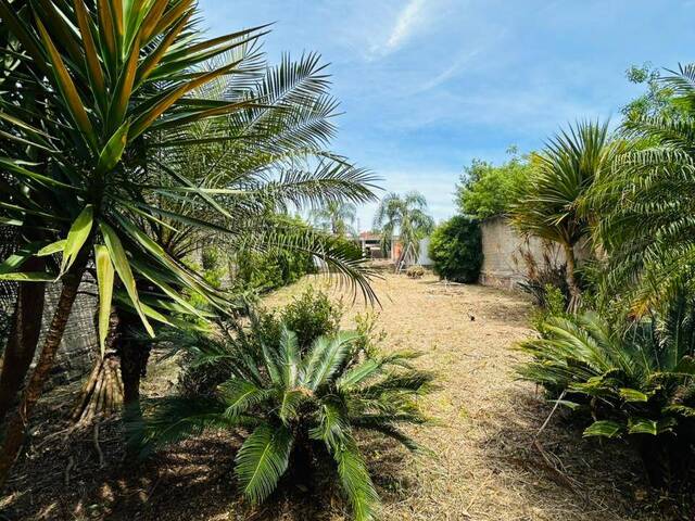 #26 - Casa para Venda em Esteio - RS - 3